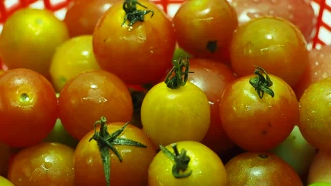Full hd. Close-up, Cherry Tomato in a slowly spinning red basket. Stock Footage 174524203