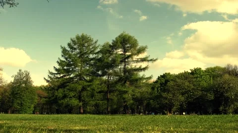 Full Hd timelapse. clouds moving on the sky. Beautiful spring/ summer in park Vidéo 53497255