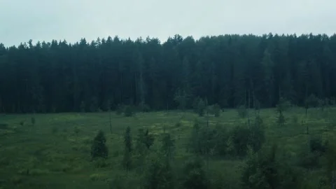 Full HD video. Camera movement. Landscape with view of forest from train window Stock Footage 274355954