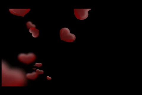 Full Of Heart 1 스톡 동영상 232207