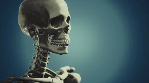 Full human skeleton standing Video stock 128791508