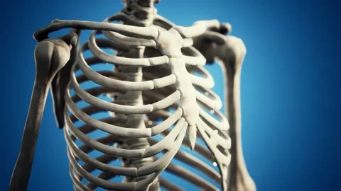 Full human skeleton standing Stock Footage 129888017