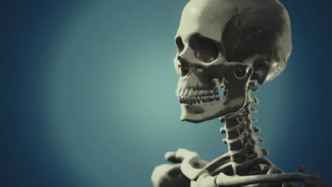 Full human skeleton standing Stock Footage 130653639