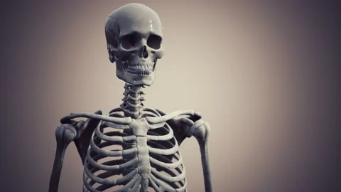 Full human skeleton standing 動画素材 131613117