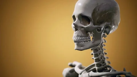 Full human skeleton standing Stock Footage 133805830
