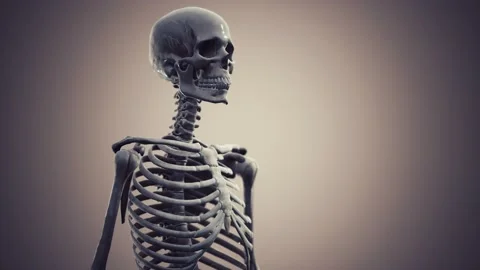 Full human skeleton standing Stock Footage 135866869
