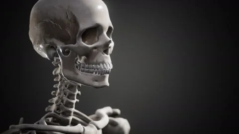 Full human skeleton standing Stock Footage 138201335