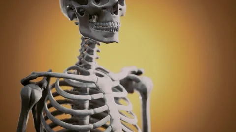 Full human skeleton standing Stock Footage 141027778