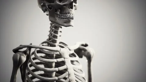 Full human skeleton standing Stock Footage 141647951