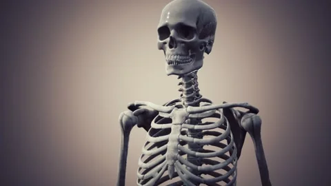 Full human skeleton standing Stock Footage 142550966