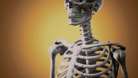 Full human skeleton standing Vídeo Stock 144424490