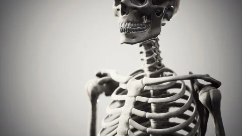 Full human skeleton standing 스톡 동영상 151192492