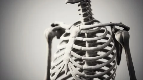 Full human skeleton standing Vídeo Stock 159738884