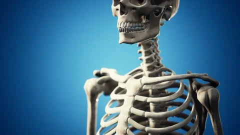 Full human skeleton standing 库存影片 162530402