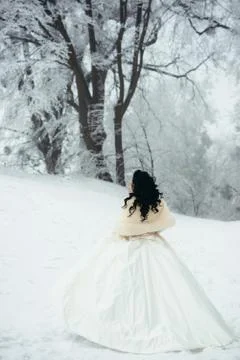 Full-length back view of the beautiful brunette bride with long black hair Stock Photos