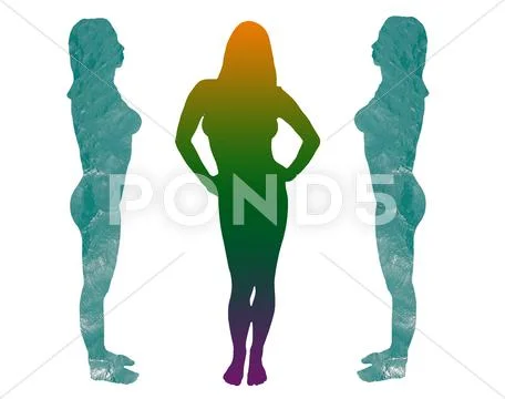 Full-length nude female silhouettes Stock Illustration