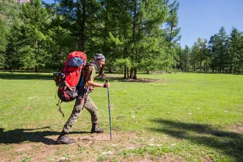 Full length portrait of a man backpacker with a backpack hiking in beautiful fir Stock Photos