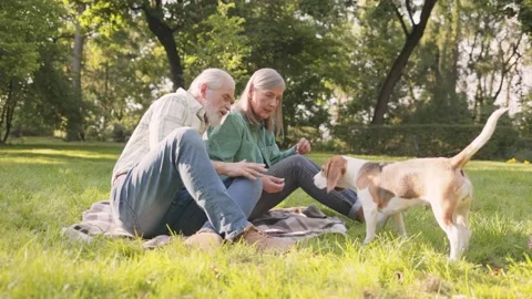 Full length view of the senior couple sitting at the grass at the park and Stock Footage 166442154