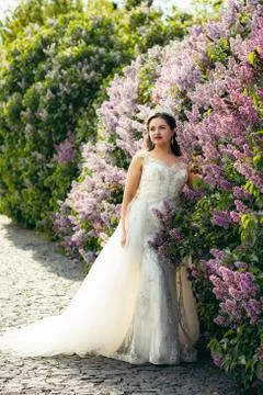 Full-length view of the stylishly dressed bride looking aside while standing Stock Photos