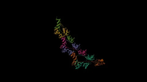 Full-length wild-type speckle-type POZ protein Stock Footage 309115552