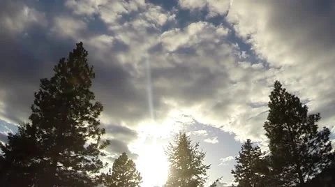 Full minute time-lapse of clouds and trees Video stock 42319666