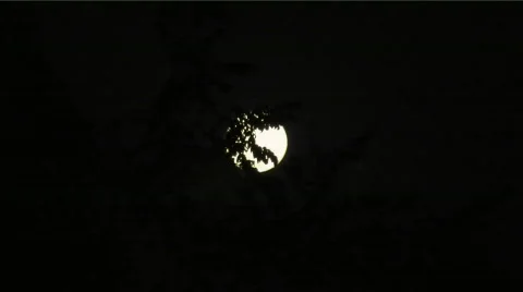 Full moon 01 Stock Footage 701969