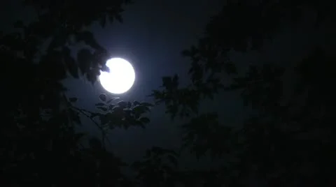 Full Moon 01 Stock Footage 12015007