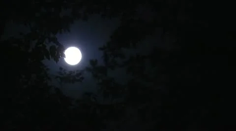 Full Moon 02 Stock Footage 12014834