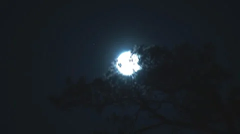 Full moon 1 Stock Footage 5199381