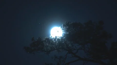 Full moon 2 Stock Footage 5199420
