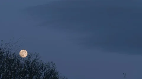 Full Moon 2020 Stock Footage 128062050