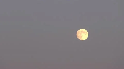 Full moon after trees in the blue sky. Vídeos de archivo 12185333