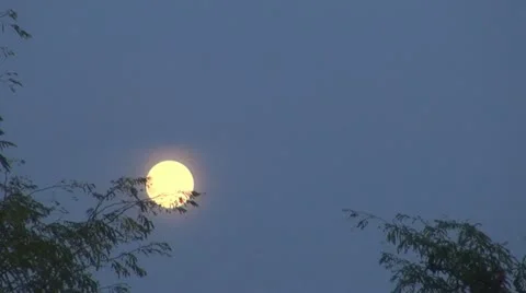 Full moon after trees in the blue sky.Timelapse. 스톡 동영상 12185525
