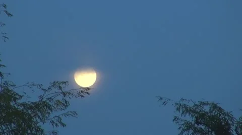Full moon after trees in the blue sky. Vídeos de archivo 12185628