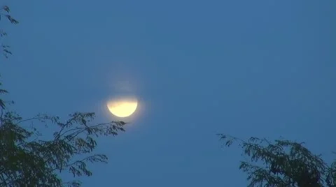 Full moon after trees in the blue sky. Video stock 12196785