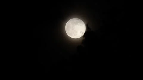Full Moon Airplane fly Below Stock-Footage 300485551