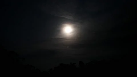 Full moon among the clouds above the trees 스톡 동영상 238768155