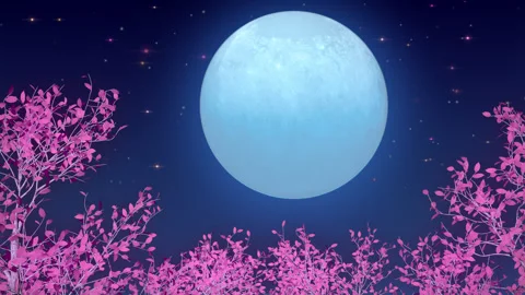 Full Moon Among Trees Stock Footage 243652895