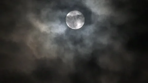 Full moon and bat Stock Footage 137282326