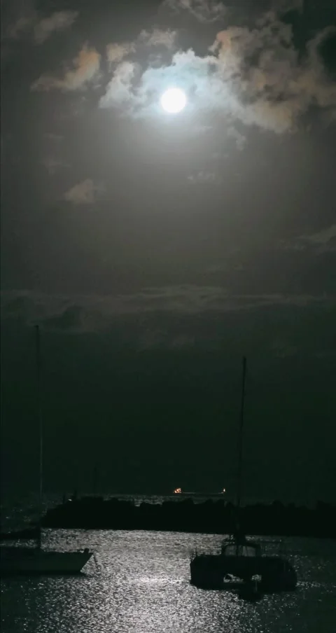 Full moon and Beach vibes Stock Footage 343648631