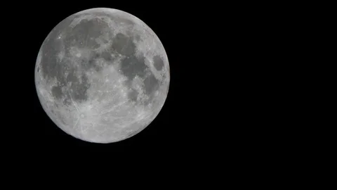Full moon and a bird flying in the background of the moon Stock Footage 84037420