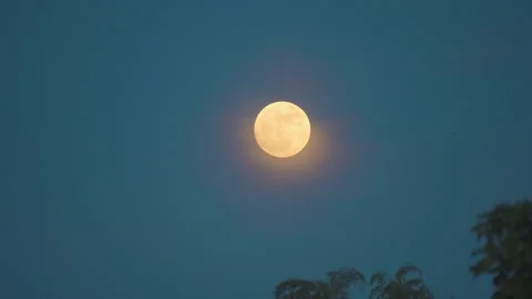Full moon and blue moon same on dark night sky background Stock Footage 249227130