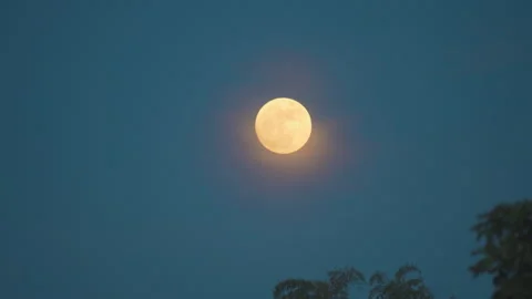 Full moon and blue moon same on dark night sky background Stock Footage 249227307