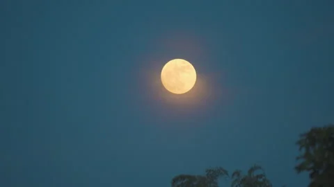 Full moon and blue moon same on dark night sky background Stock Footage 249227531