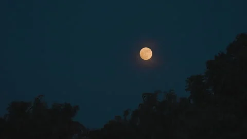 Full moon and blue moon same on dark night sky background Stock Footage 249227652