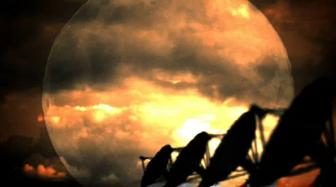 Full moon and dish Stock-Footage 310959