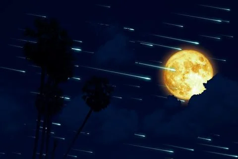Full moon and meteors rain on the night sky dark cloud and silhouette coconut Stock Illustration