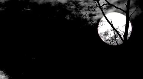 Full moon and thunder and lightning over bare leafless tree with audio Stock Footage 33827101