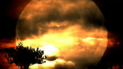 Full moon and tree Stock Footage 311036