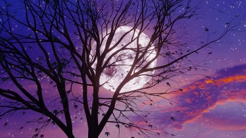Full moon and tree landscape Stock Footage 234196157